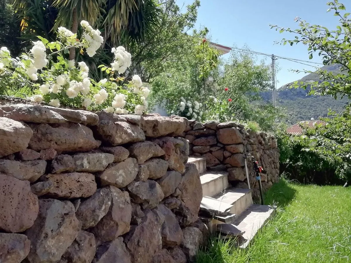 Casa Vacanze Villa Rosetta Dorgali